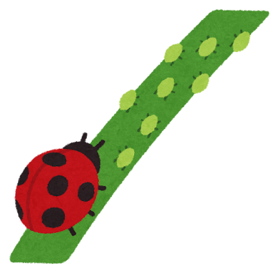 bug_tentoumushi_aburamushi.pn