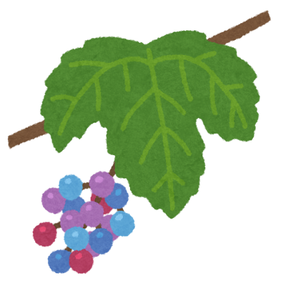 fruit_umabudou_budou (1).pn