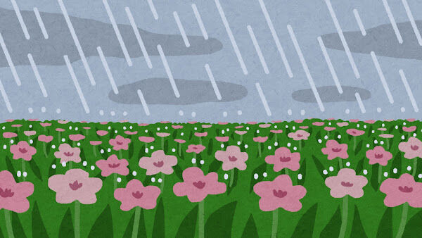 bg_rain_natural_flower.jp