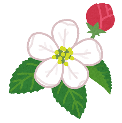 flower_ringo (1).pn