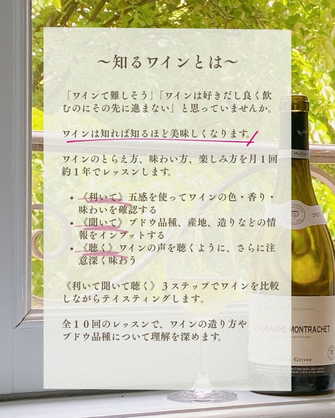知るワイン (3).jp